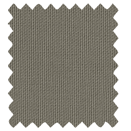 Cotton Canvas